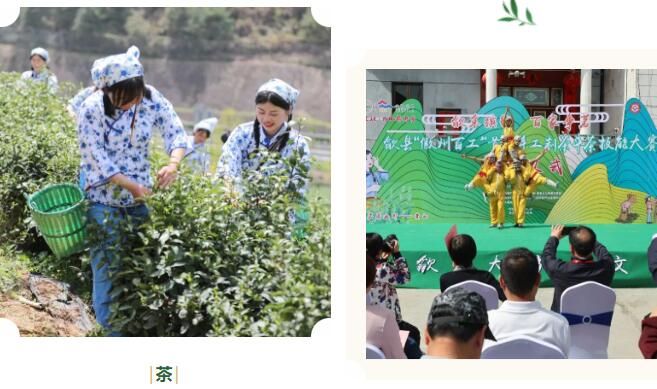 有关于一片茶叶的“功夫竞技”！歙县这里“斗”起来了的信息(2)
