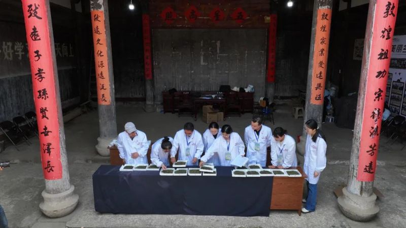 有关于一片茶叶的“功夫竞技”！歙县这里“斗”起来了的信息(8)