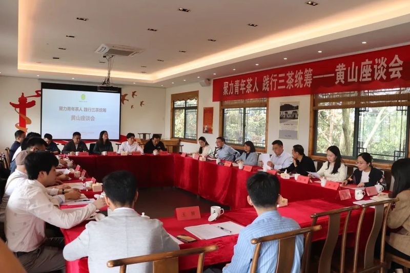 关于青年才俊齐聚首,论道徽茶新未来的资讯(1)