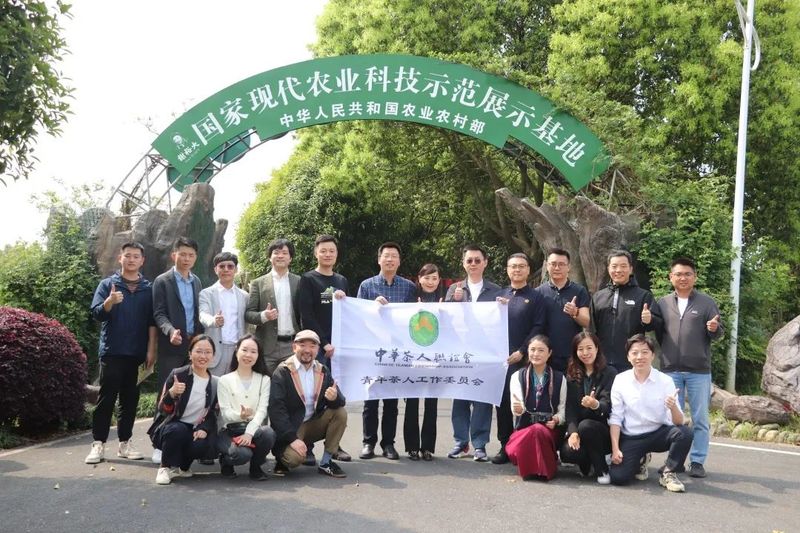 关于青年才俊齐聚首,论道徽茶新未来的资讯
