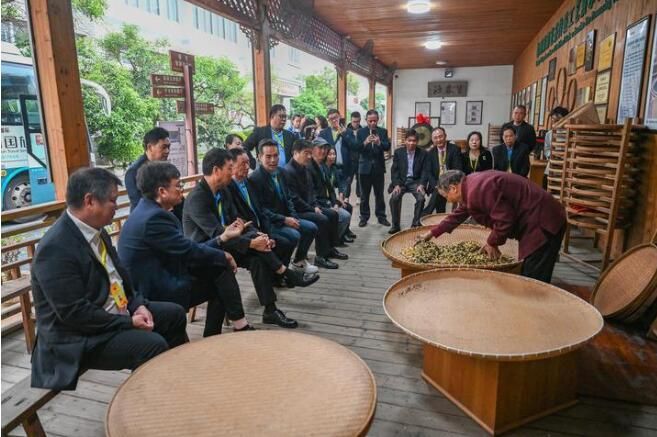 有关于千年闽茶出海忙的信息(4)