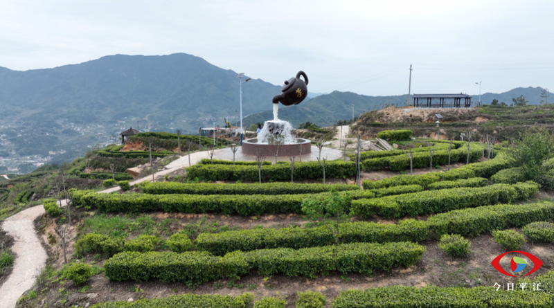 有关于平江：9万多亩翠绿成海 指尖舞蹈正在上演的相关信息