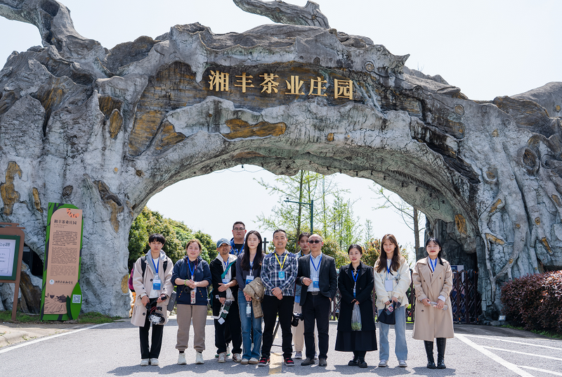关于湘丰茶业的信息