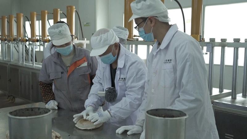 关于湘丰茶业的信息(5)