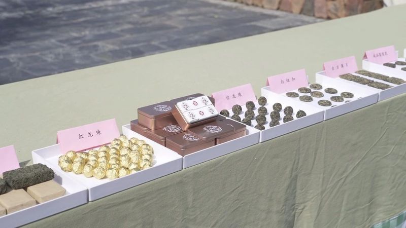 关于湘丰茶业的信息(4)