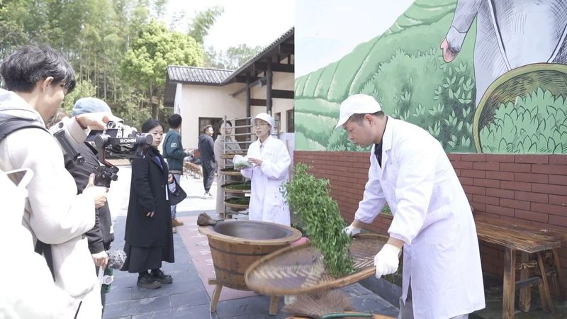 关于湘丰茶业的信息(1)