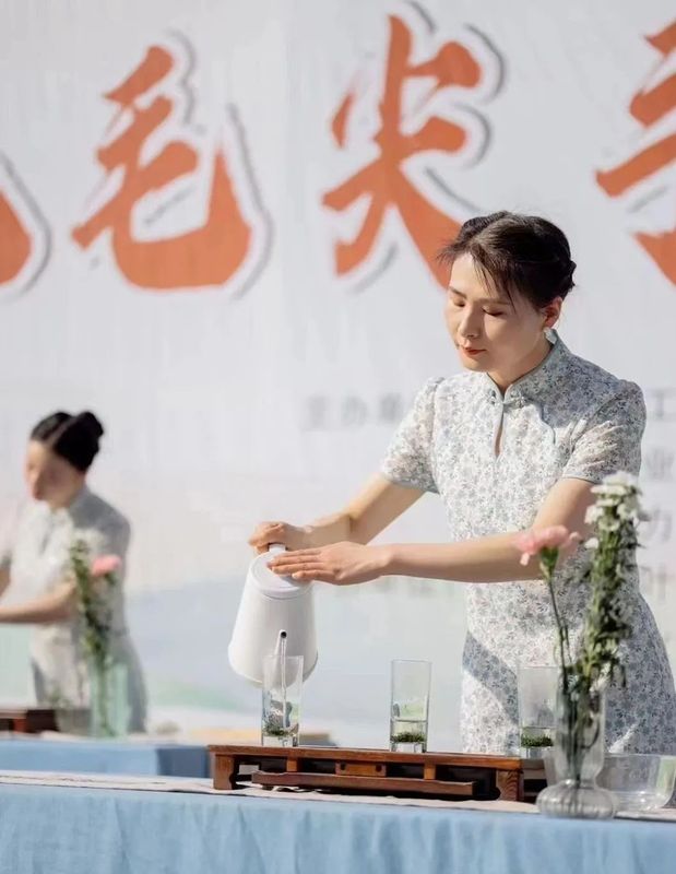 关于传承匠心，云集赛茶！2023年镇巴毛尖手工制作技能大赛开赛的新闻(8)