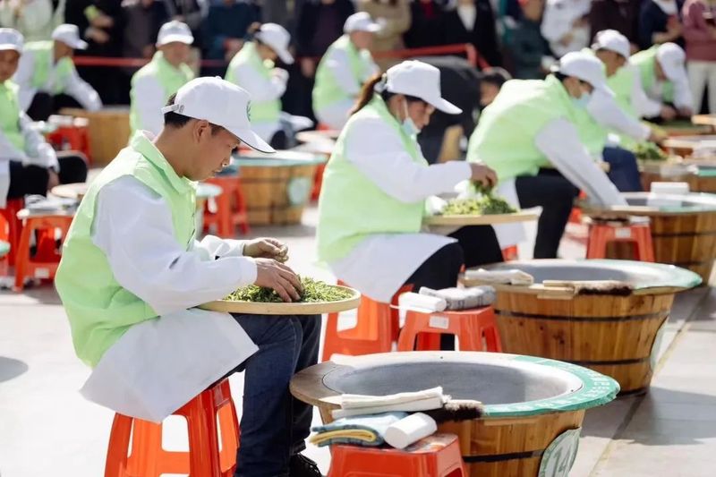 关于传承匠心，云集赛茶！2023年镇巴毛尖手工制作技能大赛开赛的新闻(2)