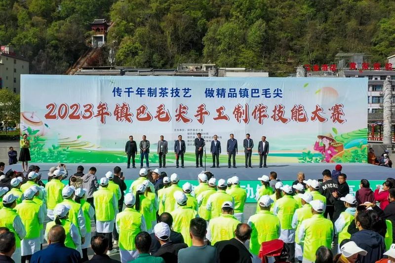 关于传承匠心，云集赛茶！2023年镇巴毛尖手工制作技能大赛开赛的新闻
