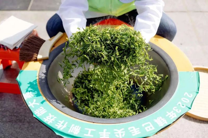 关于传承匠心，云集赛茶！2023年镇巴毛尖手工制作技能大赛开赛的新闻(3)