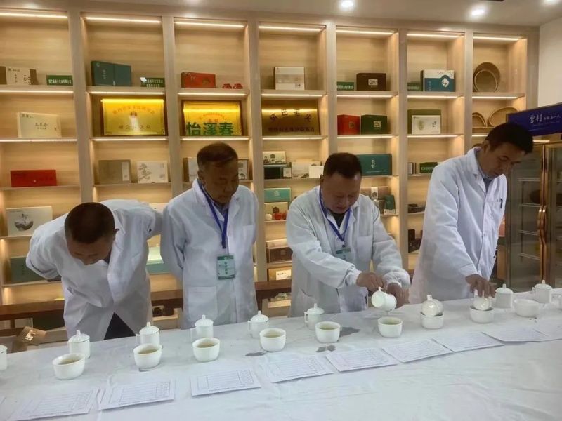关于传承匠心，云集赛茶！2023年镇巴毛尖手工制作技能大赛开赛的新闻(6)