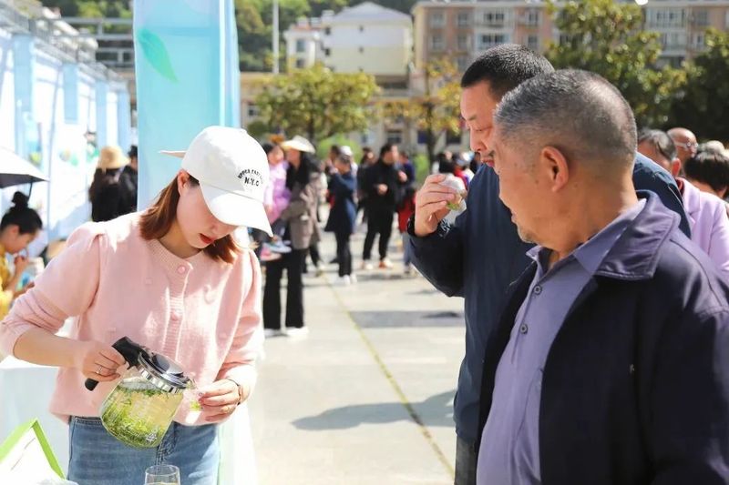 关于传承匠心，云集赛茶！2023年镇巴毛尖手工制作技能大赛开赛的新闻(9)