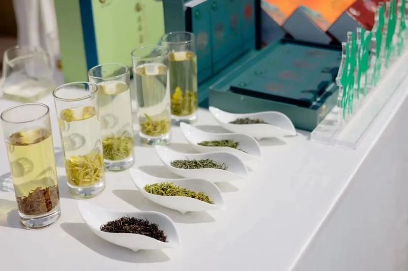 关于传承匠心，云集赛茶！2023年镇巴毛尖手工制作技能大赛开赛的新闻(11)