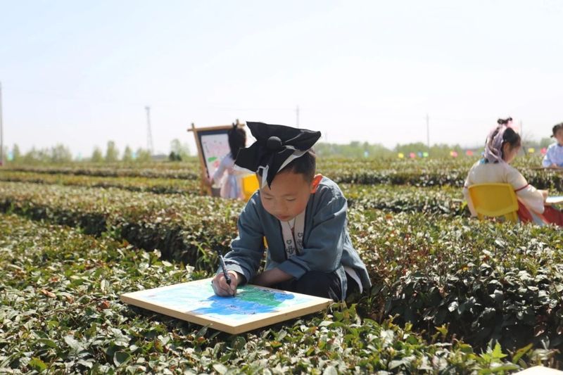 关于“茶起岚山”2023中国·日照海岸绿茶春季开园节举行的新闻(3)