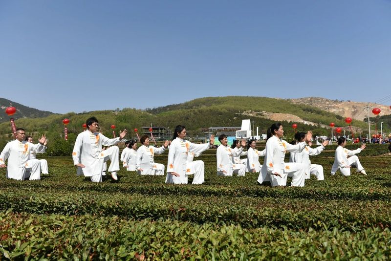 关于“茶起岚山”2023中国·日照海岸绿茶春季开园节举行的新闻(6)