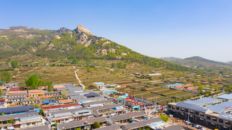 关于“茶起岚山”2023中国·日照海岸绿茶春季开园节举行的新闻