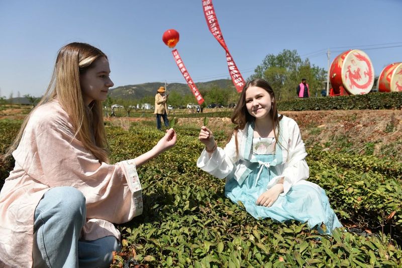 关于“茶起岚山”2023中国·日照海岸绿茶春季开园节举行的新闻(8)