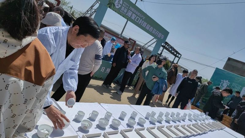 关于“茶起岚山”2023中国·日照海岸绿茶春季开园节举行的新闻(9)