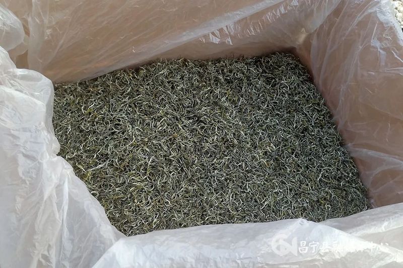 关于昌宁温泉：春茶交易市场进入旺季的内容(1)