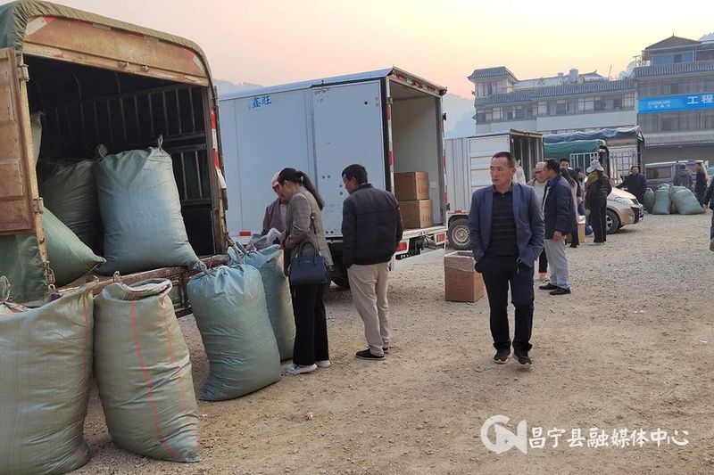 关于昌宁温泉：春茶交易市场进入旺季的内容(2)