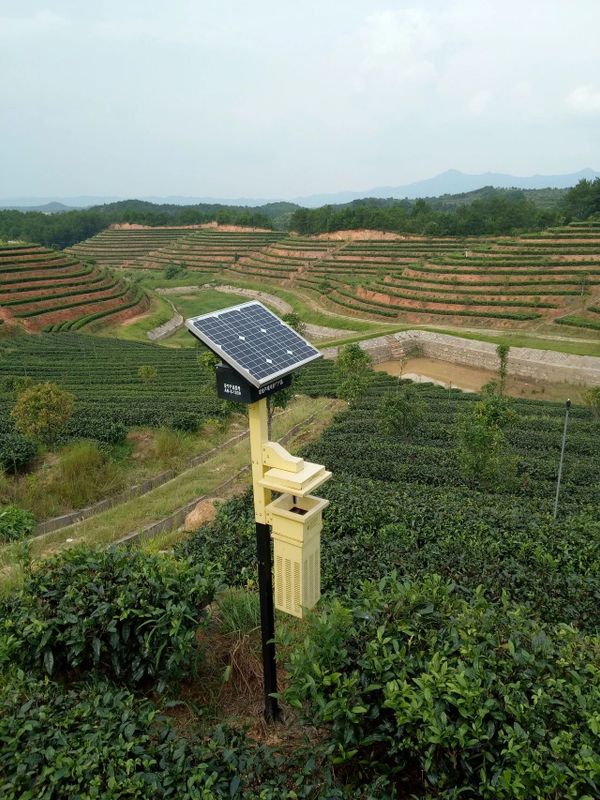 关于手机管茶园，制茶数字化——从金井茶园看湘茶产业升级的最新消息(3)