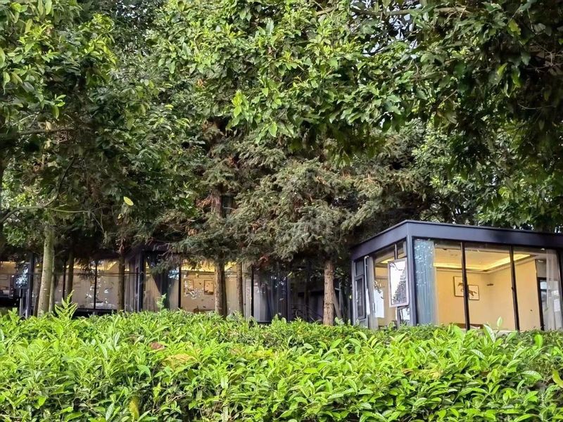 关于手机管茶园，制茶数字化——从金井茶园看湘茶产业升级的最新消息(8)