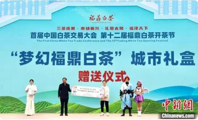 关于首届中国白茶交易大会在“中国白茶之乡”福建福鼎举办的信息(7)