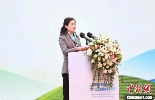 关于首届中国白茶交易大会在“中国白茶之乡”福建福鼎举办的信息(5)