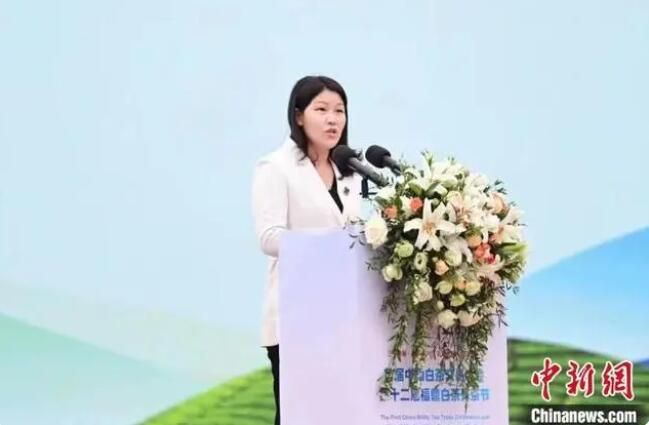 关于首届中国白茶交易大会在“中国白茶之乡”福建福鼎举办的信息(2)