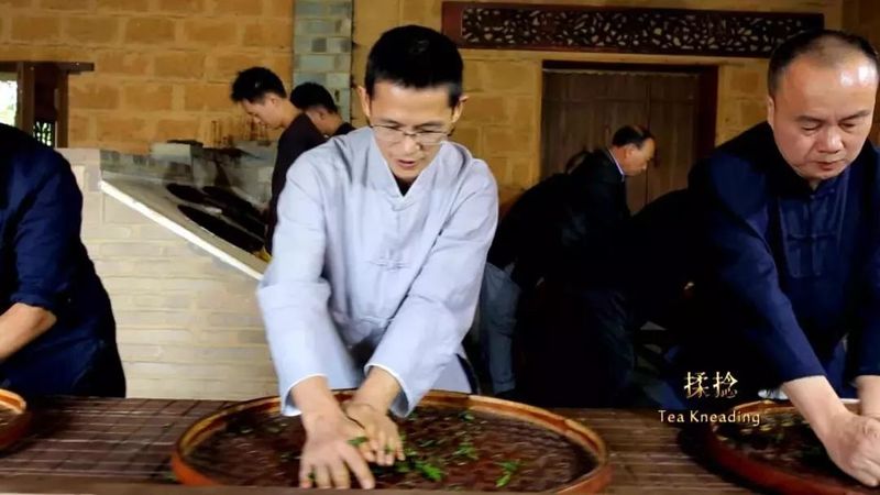 关于采茶季，忙碌的武夷山 邀你来寻茶的内容(8)