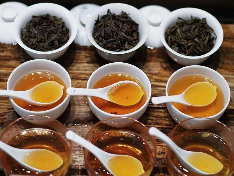 关于采茶季，忙碌的武夷山 邀你来寻茶的内容(12)