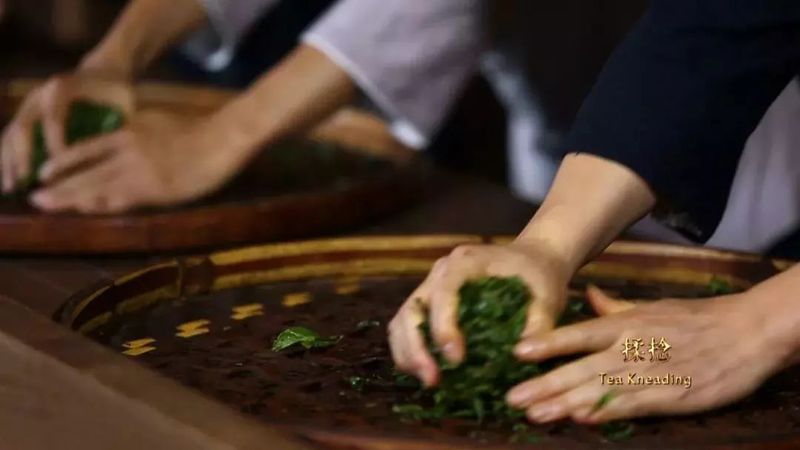 关于采茶季，忙碌的武夷山 邀你来寻茶的内容(9)