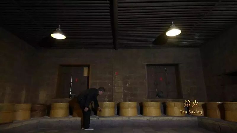 关于采茶季，忙碌的武夷山 邀你来寻茶的内容(10)