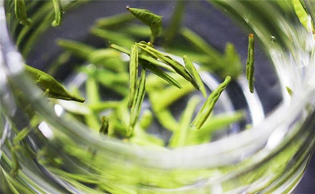 关于信阳毛尖2023年春茶价格多少钱一斤的消息