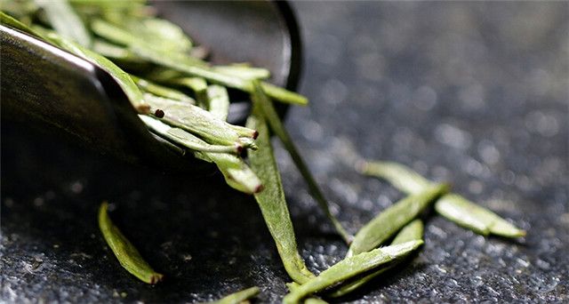 关于信阳毛尖2023年春茶价格多少钱一斤的消息(2)