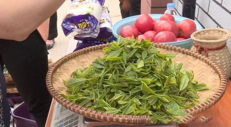 关于海阳：茶香四溢 高手过招评比“海阳工匠”的内容(4)