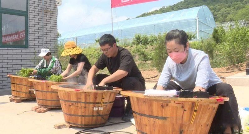 关于海阳：茶香四溢 高手过招评比“海阳工匠”的内容