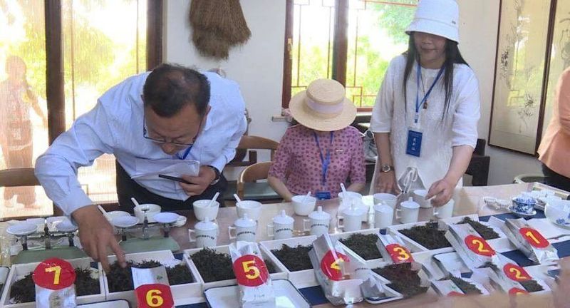 关于海阳：茶香四溢 高手过招评比“海阳工匠”的内容(1)