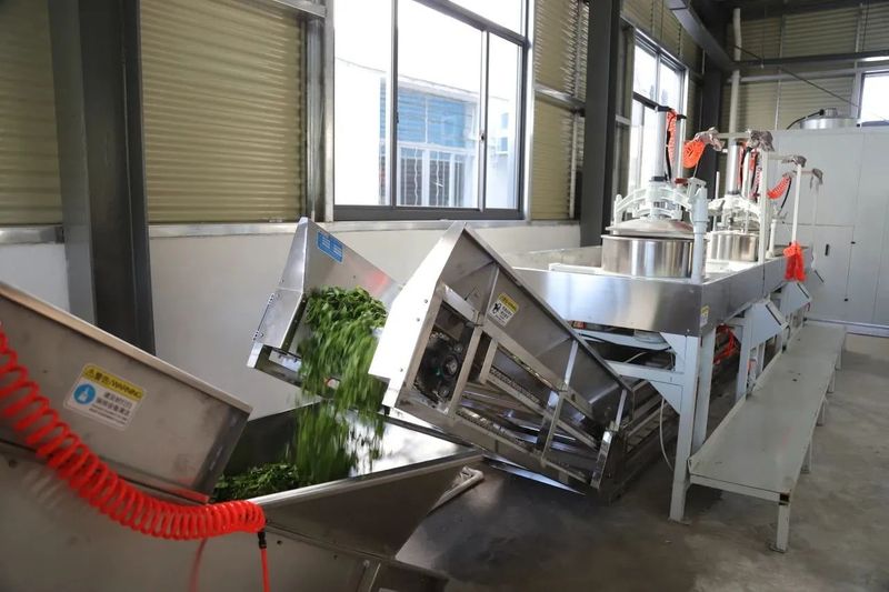 关于“共富茶坊”建成投产，上虞高山村飘出共富新茶香的资讯