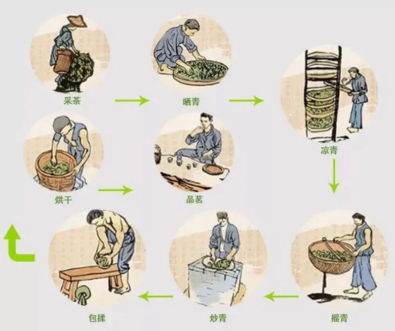 关于中法两国元首松园茶叙,纵论古今的相关内容(3)