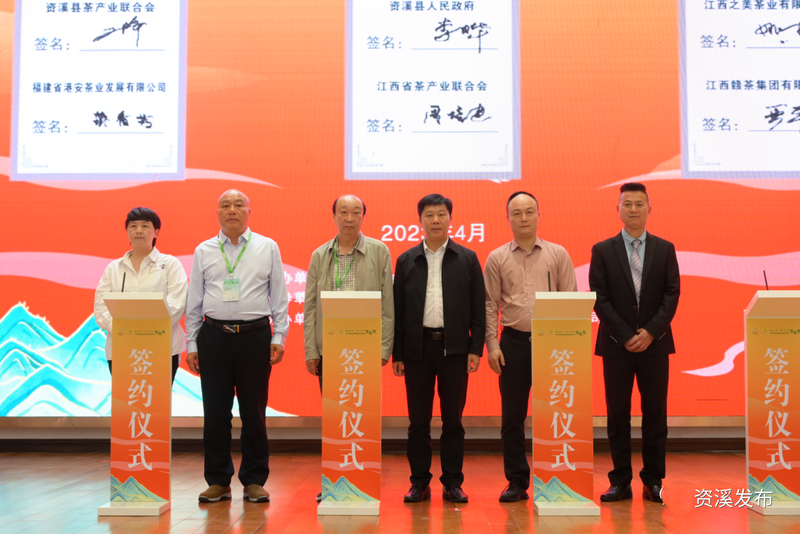 关于春韵大觉 “寻”茶资溪   2023第九届资溪有机白茶文化节开幕！的相关信息(11)