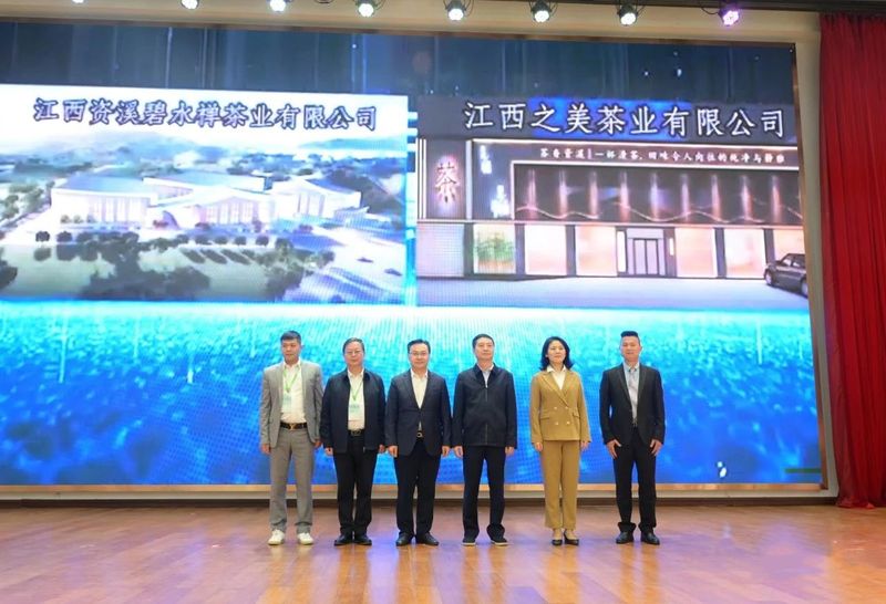 关于春韵大觉 “寻”茶资溪 2023第九届资溪有机白茶文化节开幕!的相关信息(9)