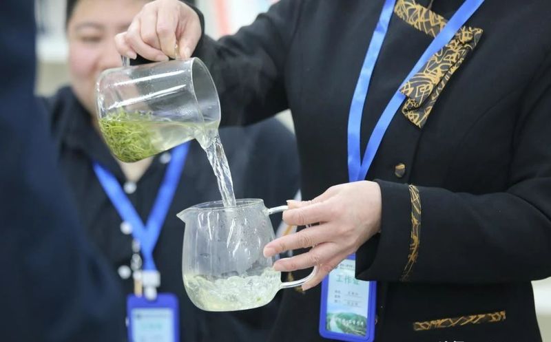 关于2023古楼春茶品鉴暨新品发布会举行的新闻(10)