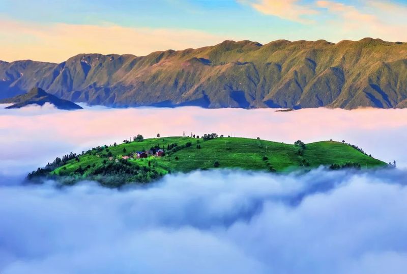 关于4月19日至21日,共赴一场镇巴茶的春时之约的相关信息