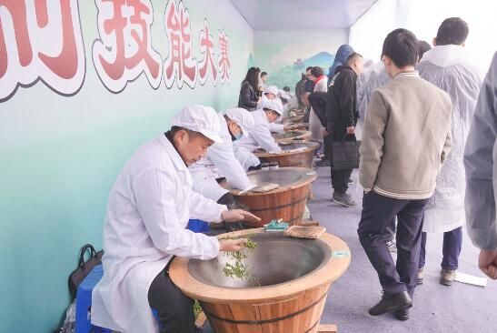 关于“小叶子”采出大产业 萧山构建现代茶产业发展格局的信息(1)