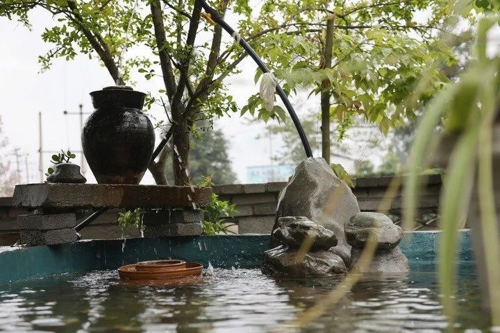 关于新华社：“世界古茶籽化石之乡”探寻茶旅融合乡村振兴路的最新消息(1)