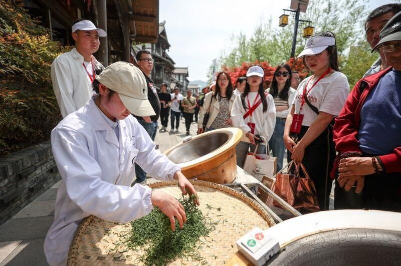 有关于首届贵州古茶文化节在七星关盛大开幕的相关内容(1)