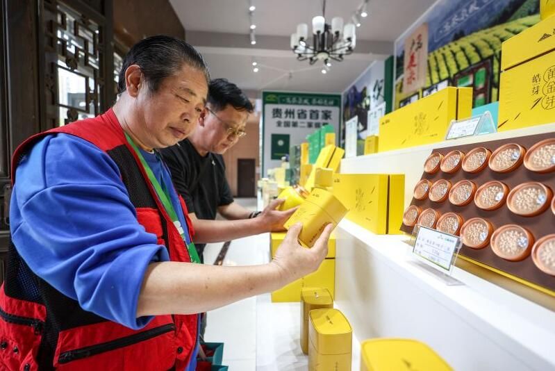 有关于首届贵州古茶文化节在七星关盛大开幕的相关内容(2)