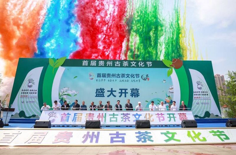 有关于首届贵州古茶文化节在七星关盛大开幕的相关内容
