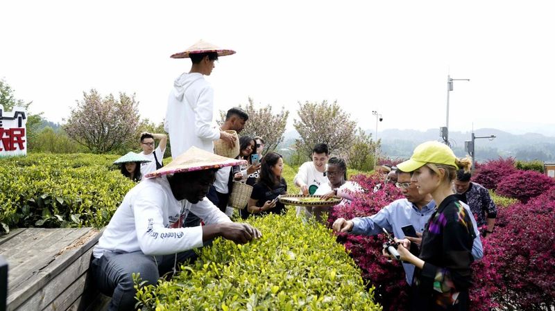 有关于“守护蓝色星球·国际青年贵州行”参访活动走进湄潭的资讯(1)